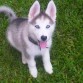 Stark 2 Meses y 2 semanas