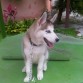 Stark 2 meses y 3 semanas
