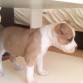 3 Dia con migo 1 mes y 7dias