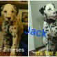 Jack a sus dos meses y primer año