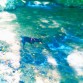 en el rio de bosque!!