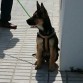 Su primer paseo con 4 meses.