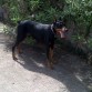 Sacando la lengua...