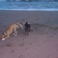 otra en la playita