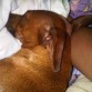 Durmiendo con mi mami !