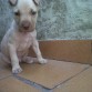 posando en el pasillo
