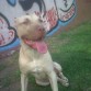 7 meses y pesando 22,800klg