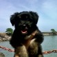 en la playa