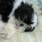 aqui durmiendo raro