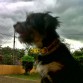 parece que va a llover