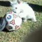 Napo jugando al fútbol