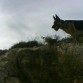 Con su pelota en el Monte.