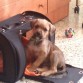 3 meses