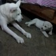 kiara y su hijo !!