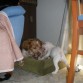 Astur y Zelda.