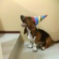 cantando el cumpleaños