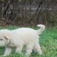 ZURI CON 3 MESES