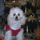 Valentina con el Arbol de Navidad