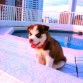 4 semanas tomando el sol :)