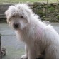 Zuri en urkiola 4 mese