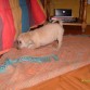 Aqui esta el Kem Destruyendo todo a su paso..!!!