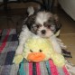 Con mi amigo el pato