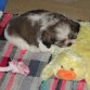 Durmiendo con mi amigo