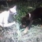 con un intruso en la casa