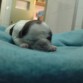 q wapaa :(