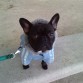 con su chaquetaa :)