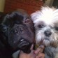 Jimbo y Noa