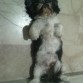 durmiendoo...