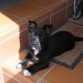 Nela, tomando el sol