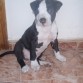 Con 2 meses y medio