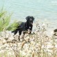 un dia en zahara de los atunes