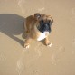 su primer dia en la playa!!!