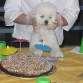 MI CUMPLE! A soplar velitas (o sombrillitas!)!