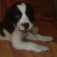Ciro bebe
