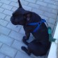 oleee ese cuerpooo!