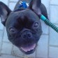 wapooo