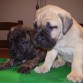 adda y athos hijos de Otto  y Yara