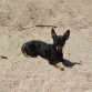 Tomando el Sol...