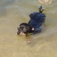 Nadando en el Pantano..no me va mucho el Agua..
