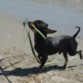 Jugando en la Playa..