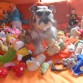 DOMINGO - DIA DE JUEGO