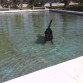 aqui empezó a conocer el agua...en una fuente del parque...jajaja