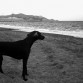 Hemos llegado a la playa después del tráfico.