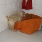 los primeros dias no paraba de dormir. con 35 dias