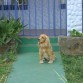 EL GUARDIAN DE LA CASA 
JAJAAJA