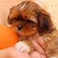 Ella en mis brazos..